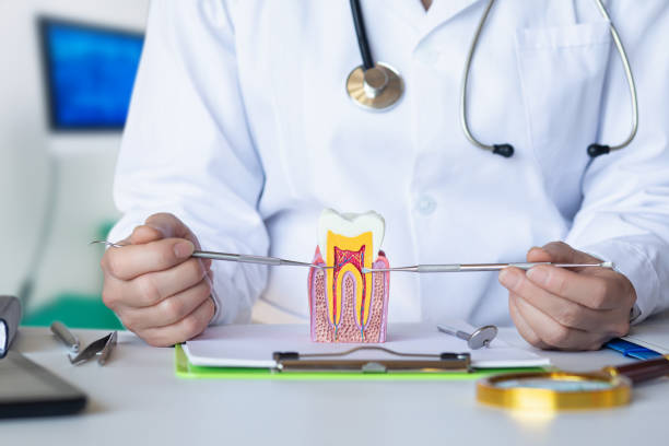 Best Emergency Gum Treatment in Salida, CO